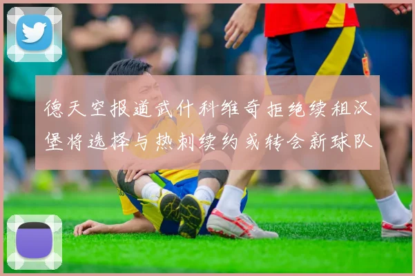 德天空报道武什科维奇拒绝续租汉堡将选择与热刺续约或转会新球队